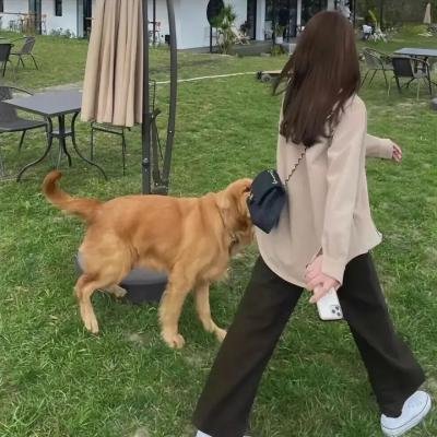 命运交错